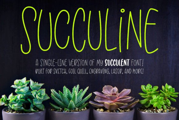 Download Succuline (single Line) - Single Collection