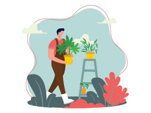 Download Plant Flowers in the Planting Medium - Flower Collection